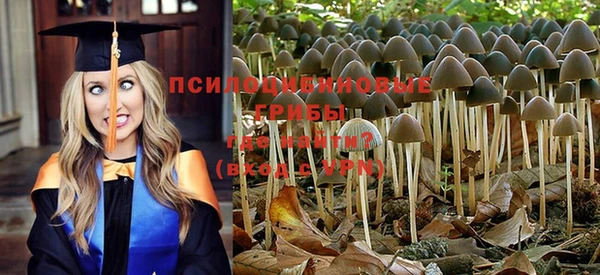 мяу мяу кристалл Арсеньев