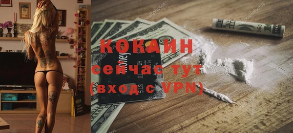 сатива Армянск