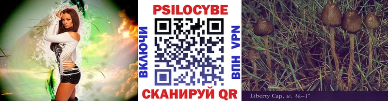 Псилоцибиновые грибы Cubensis  Купить где  Мостовской 